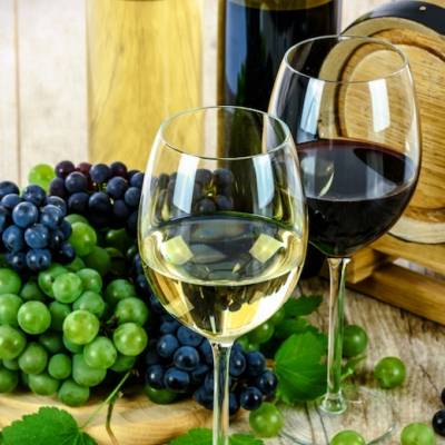 Raising a Glass to MSc Programs in Food and Wine
