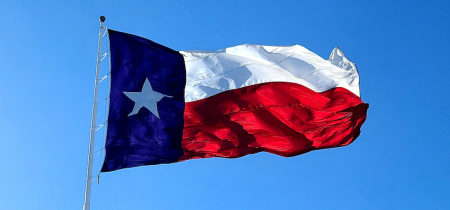 The Unique Benefits of Studying for a MiM in Texas