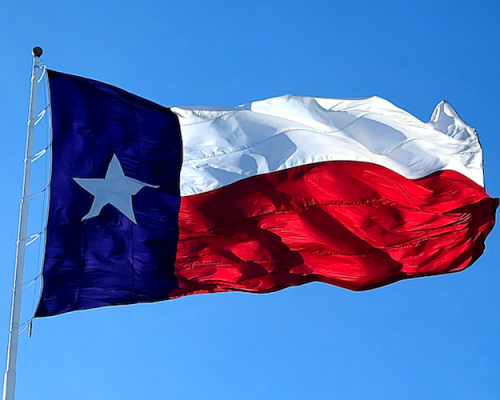 The Unique Benefits of Studying for a MiM in Texas