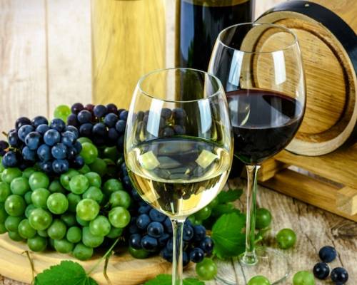 Raising a Glass to MSc Programs in Food and Wine