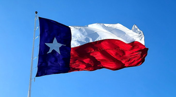 The Unique Benefits of Studying for a MiM in Texas