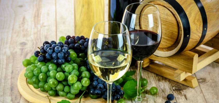 Raising a Glass to MSc Programs in Food and Wine